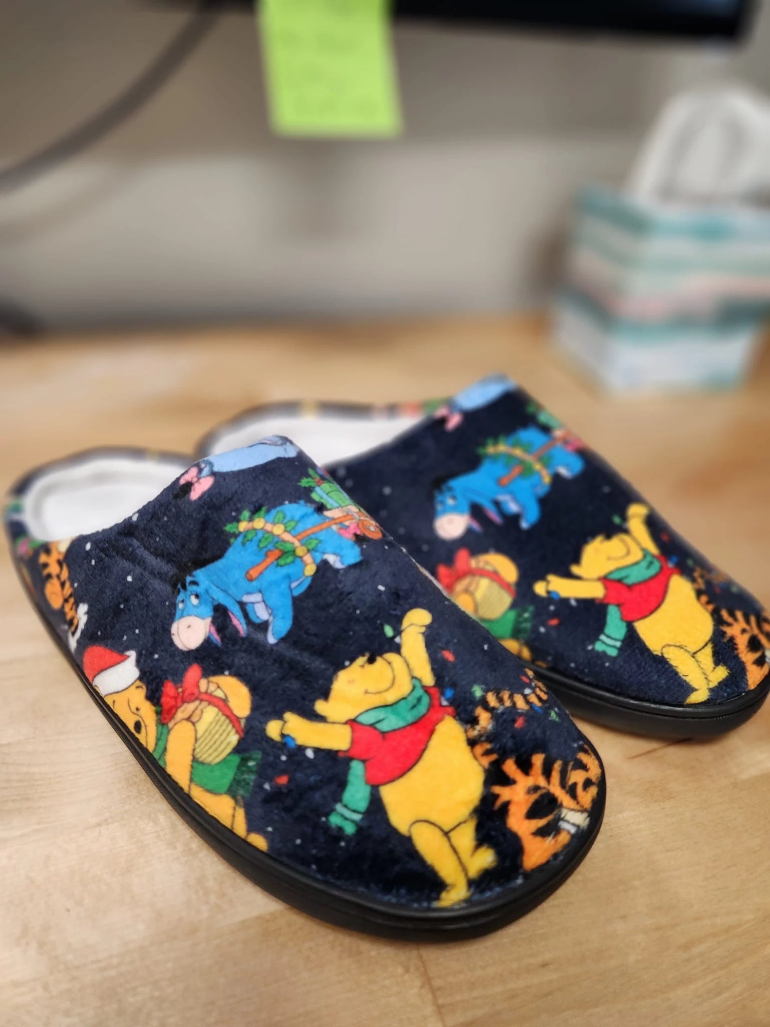 Custom House Slippers